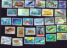 50 unids/lote de peces del mar de animales del mar, todos diferentes de muchos países, NO se repiten sellos postales sin usar para coleccionar 2024 - compra barato