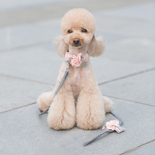 Collares y arneses para perros y gatos, correa para mascotas con nudo de lazo, encantador Collar de Cable de transporte, correa de tracción, traje 2024 - compra barato