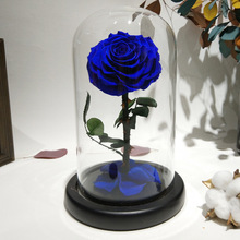 Стеклянная крышка, свежий консервированный цветок розы, Колючая Роза, цветы для свадьбы, брака, домашвечерние, украшение, подарок на день Святого Валентина 2024 - купить недорого