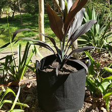 3 Gallon Black Plants Growing Bag Vegetable Flower Aeration Planting Pot Container Round Fabric Pots Plant Pot Container 2024 - buy cheap
