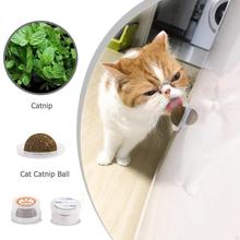 Cats Natural Mint Edible Ball Kitten Interactive Biting Catnip Playing Toys for Cat Kitten Snack Healthy Care Mint Ball 2024 - buy cheap