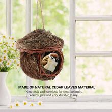  Bird Vine Bird Cage Home small animals Bird Hanging Decoration Accessories For Pet Birds Supplies 2024 - buy cheap