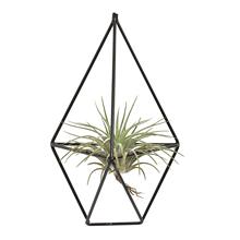 Hot Sale 1 Pcs Rustic Wall Mount Hanging Irregular Pentagon Geometric iron Tillandsia Air Plants Holder Rack Black Wall Accent 2024 - buy cheap