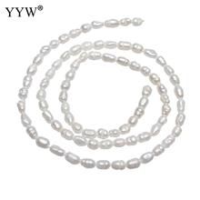 High Quality Cultured Baroque Freshwater Pearl Beads Nuggets 100% natural white 3-4mm Approx 0.8mm Per Approx 15 Inch Strand 2024 - buy cheap