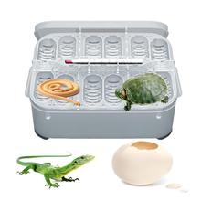 Reptile Breeding Box Professional Reptile Hatching Box Lizard Small Climbing Pet Advanced Incubator With Egg Tray Box Beekeeping 2024 - buy cheap