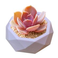 Clay Cement Silicone Mold Concrete Flower Pot Decorative Geometric Polygonal Succulent Plants Vase Mold Office Home Decoration 2024 - buy cheap