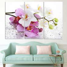 Pintura en lienzo con estampado de flores blancas para decoración de pared del hogar, imagen artística elegante para sala de estar, arte de pared del dormitorio, 3 uds. 2024 - compra barato