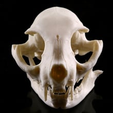 Смола кошка череп скелет фигурка аквариум пейзаж украшение 2024 - купить недорого