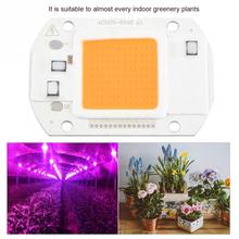 LED Chip Full Spectrum Plant Grow Light COB Bead Plant Growth Lamp for Greenery Plant Flower LED Grow Tent Lighting 2024 - buy cheap