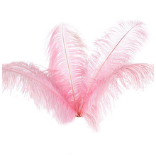 Plumas de avestruz Natural, decoración para fiesta de boda, rosa, 20-25cm, 10 Uds. 2024 - compra barato