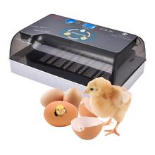 Miniincubadora de huevos Digital automática, gran capacidad, práctica, para pollo, aves de corral, codorniz, pavo, uso doméstico, envío directo 2024 - compra barato