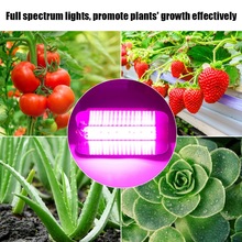 220v 30w 50w 80 plantas de interior cob led crescendo luz espectro completo planta crescer lâmpada planta crescente luz 2024 - compre barato