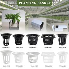 10pcs Heavy Duty Hydroponic Mesh Pot Net Cup Basket Hydroponic Aeroponic Plant Grow Garden Clone 2024 - buy cheap