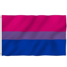3x5FT LGBT Bisexual Pride Rainbow Flag Large High Quality Flags and Banners Home Decor Polyester Flying Banner 90cmx150cm 2024 - buy cheap
