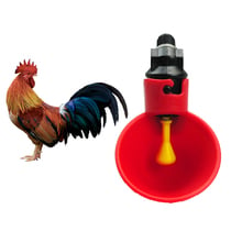 Recipiente automático para água de aves, copo de plástico para bebedouro de aves, pássaros, codornas, galinha, equipamento de criação com 10 peças 2024 - compre barato