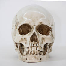 Statues Sculptures Resin Halloween Home Decor Decorative Craft Skull Size 1:1 Model Life Replica High Quality 2024 - buy cheap