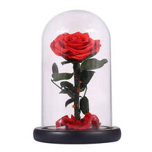 Стеклянная крышка свежая Сохраненная роза цветок колючая Роза Флорес для свадьбы дома украшение для вечеринки подарок на день Святого Валентина 2024 - купить недорого