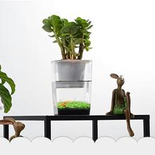 Aquarium Plant Fish Tank Vegetables Symbiotic Water Grass Ultra-White Desktop Ecological Plastic Convenient Fish Grows Plants 2024 - buy cheap