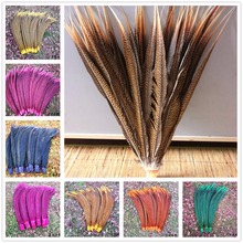 Hot 20/100pcs Natural Golden Pheasant Tail Feathers 50-55cm / 20-22 Inches / Lady Amherst Pheasant Tail Pheasant Feathers 2024 - buy cheap