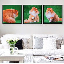 Afiches e impresiones de AAVV en lienzo, arte de pared, imagen de animales para sala de estar, decoración del hogar, Gato bonito sin marco 2024 - compra barato