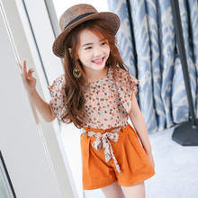 2019 New Summer Brand Baby Kid Girl Floral Outfits Little Girls Lovely Tops+Shorts 2Pcs Clothing Set 3-12T Summer Clothes 2024 - buy cheap