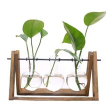 Новый растительный Террариум с деревянной подставкой, стеклянная ваза, держатель для украшения дома, контейнер Scindapsus (3 террариума) 2024 - купить недорого
