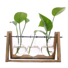 New Plant Terrarium with Wooden Stand Glass Vase Holder for Home Decoration,Scindapsus Container (3 Terrariums) 2024 - buy cheap