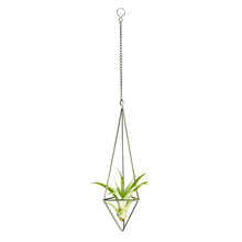 1 Pack Hanging Air Plant Holder For Tillandsia Display Geometric Planter With Chains Home Decor For Air Plants, Bronze 2024 - buy cheap