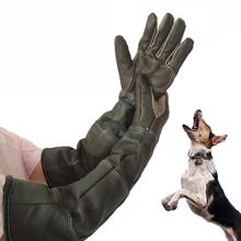 Перчатки для домашних животных, кожаные перчатки для защиты от укусов, защитные перчатки для кошек, собак и садоводства, рабочие перчатки для домашних животных, тренировочные перчатки для кормления 2024 - купить недорого