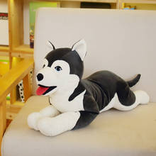 60-90cm Cute Plush Dog Toy Simulation Stuffed Animal Soft Doll Lifelike Husky Dog Puppy Kids Toys Children Girlfriend Gift 2024 - buy cheap