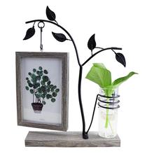 Features With Hydroponic 6 Inch Hanging Double-Sided Photo Frame Creative Personality Decorative Table Crafts Ornaments 2024 - buy cheap