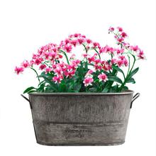 Vintage Metal Iron Flower Garden Shabby Vase Pot Succulent Plants Bucket Planter Decor Flower Pot Garden Decoration 2024 - buy cheap