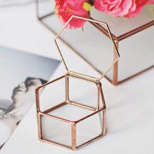 Bmby-terrario geométrico de cristal, caja de joyería de vidrio, maceta suculenta, forma hexagonal 2024 - compra barato
