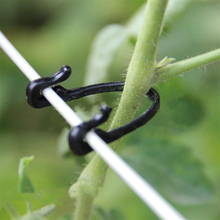 New 50PCS/Pack Hook Vegetable Grafting Clips Popular Agricultural Tied Buckle Vines Fastener Garden Supplies Greenhouse Plant 2024 - buy cheap