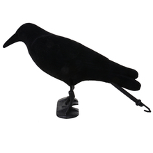 New Arrivals Hunting Decoy Flocked Hard Plastic Jet Black Crow Decoy Shooting Animal Trap Decoy Outdoor Hunting Accessories 2024 - buy cheap
