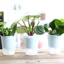 Plastic Transparent Plant Pots Self Watering Planter Flower Pot Home Garden Potted Plants Tool #125 2024 - buy cheap
