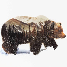 Алмазная 5D картина «Медведь», полноразмерная/круглая вышивка, вышивка крестиком, пейзаж «сделай сам», Декор для дома, подарок 2024 - купить недорого