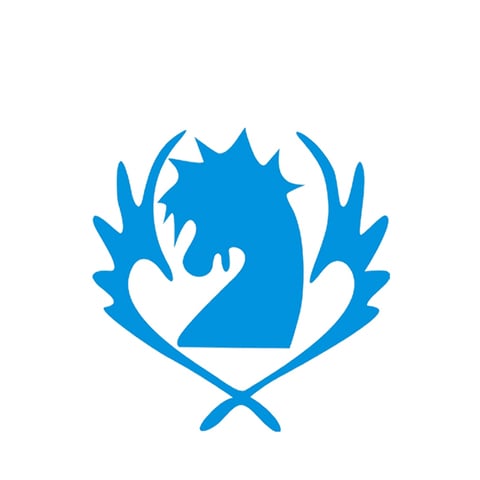 Buy Fairy Tail Blue Pegasus Cosplay Anime Cartoon Logo Props Waterproof Animation Cartoon Logo Temporary Tattoo Stickers Xr171 In The Online Store Tamira Handicraft Art Store At A Price Of 1 99 Usd