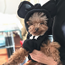 French Bulldog Winter Clothes for Small Dogs Pets Clothing Chihuahua Cute Hoodies Pug Costume Yorkie Coat Puppy Rabbit Dress 2024 - buy cheap