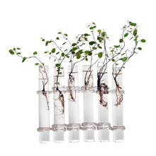 6 tubos de vidro hidropônicos suspensos para plantas, recipiente de terrário vaso de plantas 2024 - compre barato