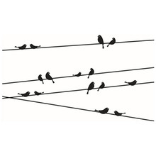 Little Birds on the wire 3d wall art vinyl decals window glass mural stickers home decoration removable black wallpaper 57*11cm 2024 - buy cheap