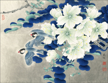 Quadros chineses pássaro flor branca pintura a óleo paisagem impressões em tela telas para casa arte de parede pintura de arte imagem 2024 - compre barato