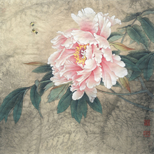 Flor de abelhas peônia chinesa cenário pintura a óleo impressões em tela telas para casa arte de parede imagem decorativa 2024 - compre barato