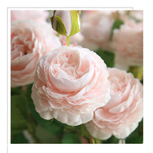 YO CHO Искусственные цветы с 3 головками роз, Белые пионы, шелковые свадебные цветы, украшение для стола, дома, сада, искусственные цветы 2024 - купить недорого