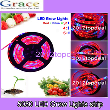Luces LED impermeables para cultivo de plantas, tira LED 5050 DC12V, color rojo y azul, 3:1, 4:1, 5:1, para cultivo de plantas hidropónicas de invernadero, 5 m/lote 2024 - compra barato