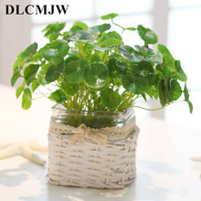 Artificial plant  Leaves Grass Artificial Flower Home Decoration Wedding Decoration DIY Flower Wall Plant Wall Fake Flowers 2024 - buy cheap