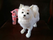 Modelo grande de piel peluda de perro samoyedo blanco, 29x25cm, polietileno y piel, decoración artesanal, regalo, a2477 2024 - compra barato