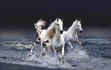 Three Running Horses Animal For Embroidery Needlework 14CT Counted Unprinted DIY Cross Stitch Kits Handmade Arts Wall Decor 2024 - buy cheap