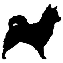 10.2*9.5 cm longhaired chihuahua cão adesivos de carro bonito decalques cauda do carro estilo decorativo preto/prata S1-0235 2024 - compre barato