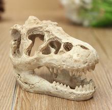 Fósil de diente de dinosaurio de resina, modelo de esqueleto para enseñanza de cráneo, casa de Halloween, oficina, decoración de Halloween, 50 Uds., envío directo 2024 - compra barato